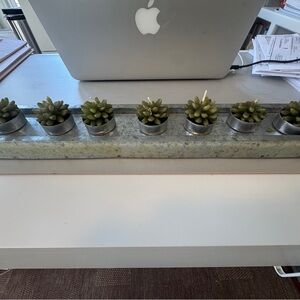Set of 7 🌵Succulent-Shaped Tealight Candles on Metal Display Tray
